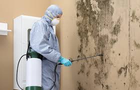 Mold Remediation for Rental Properties in Hanceville, AL